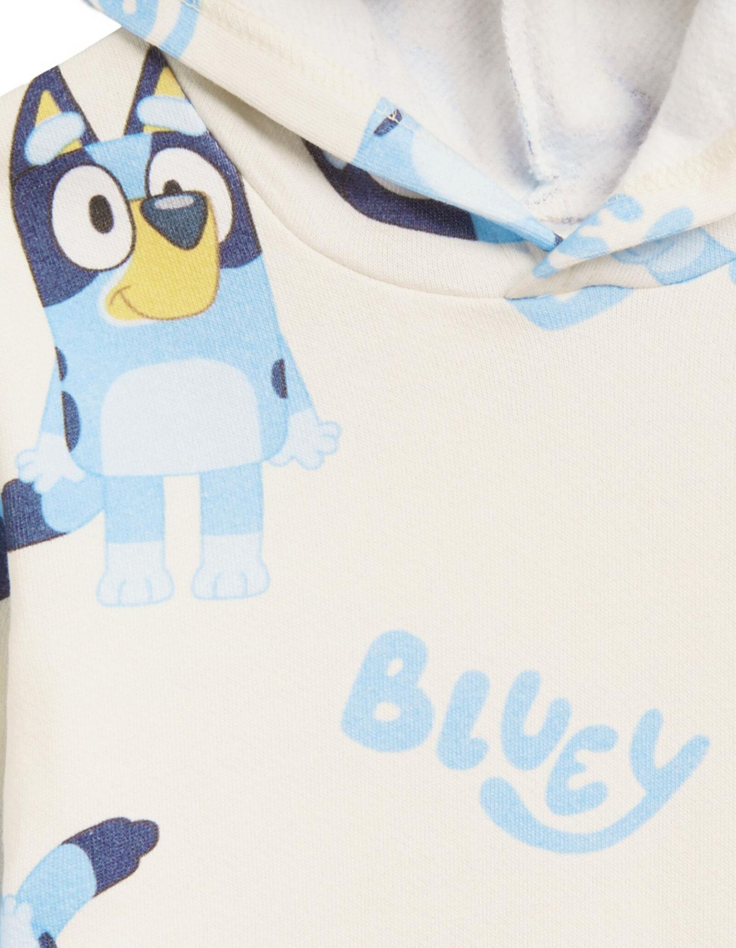 Toddler (2T - 5T) Fleece Pullover Hoodie