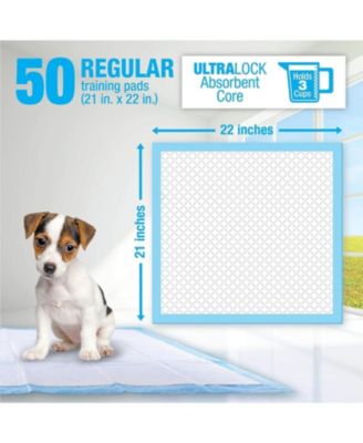 Lil Squirts: Training Pads - 50pk