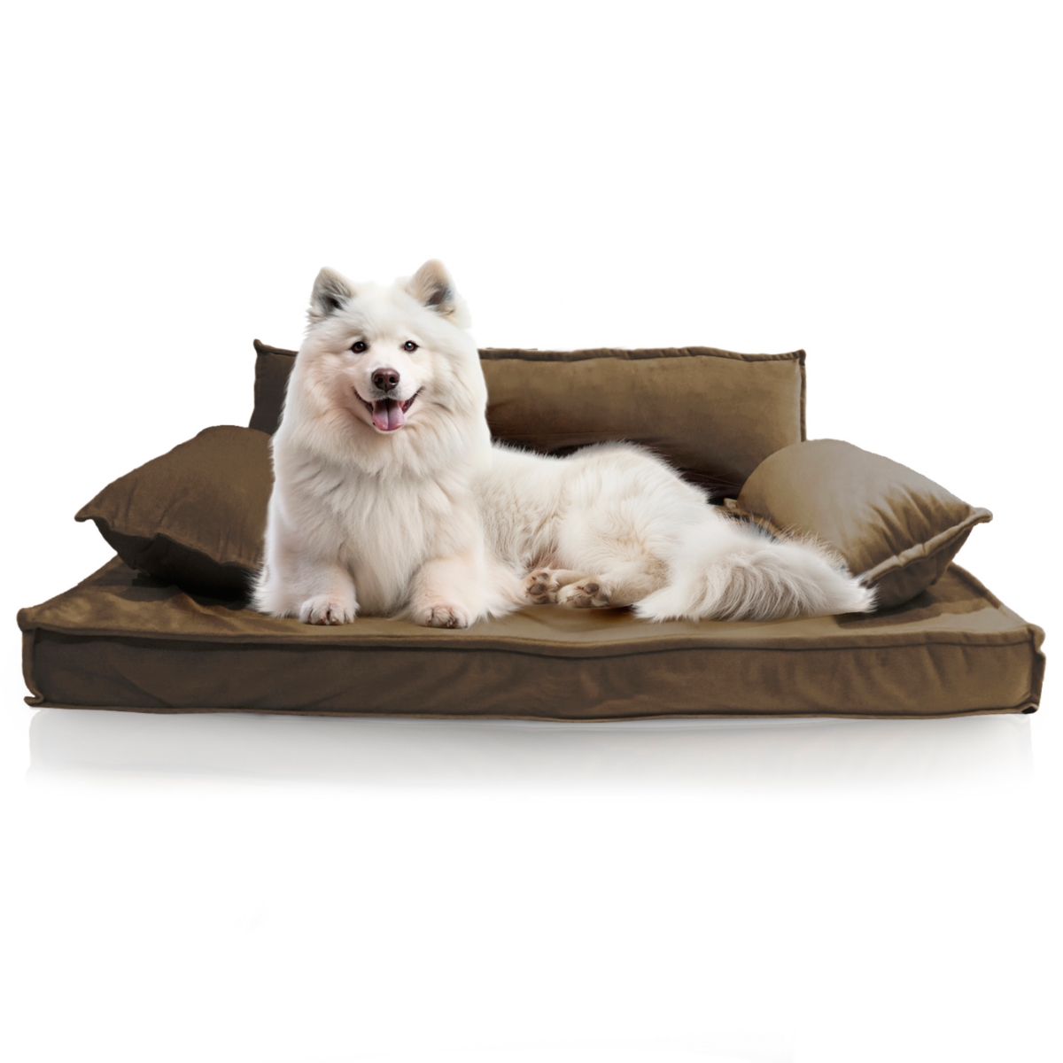 Orthopedic Pet Bed, Stylish Beds for Cats and Dogs, Modern Sofa Couch for Small-Medium Dog - Mocha