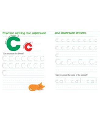 Chicka Chicka Boom Boom Learn to Write Workbook for Preschoolers by Bill Martin Jr