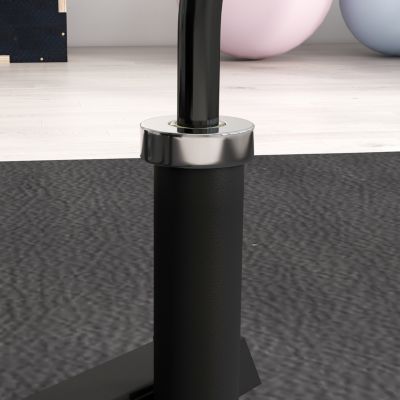 2-inch Weight Rack for Plates and 3 Bars, Olympic Weight Tree Bumper Plate Storage Holder, 660 lbs. Capacity, Black