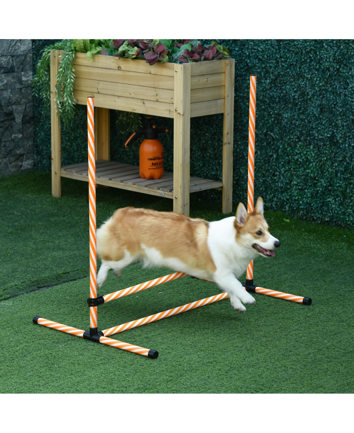 Streamdale Furniture 6 Piece Dog Agility Training Equipment with Hurdle Bag and Whistle,and White - Orange