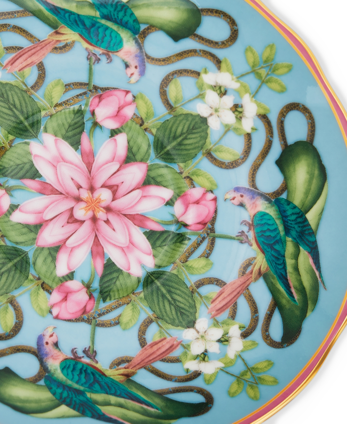 Wedgwood Wonderlust Menagerie 2 Piece Teacup Saucer Set