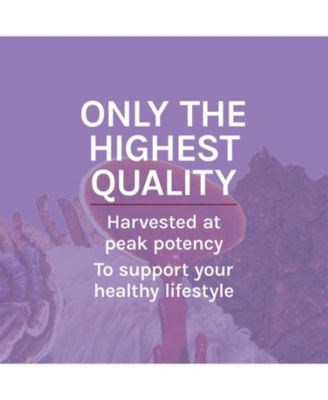 Lion's Mane Extract - Brain Health Support Supplement - Mushroom Supplement to Support Focus & Memory Function - Immune & Nervous System Support Supplement