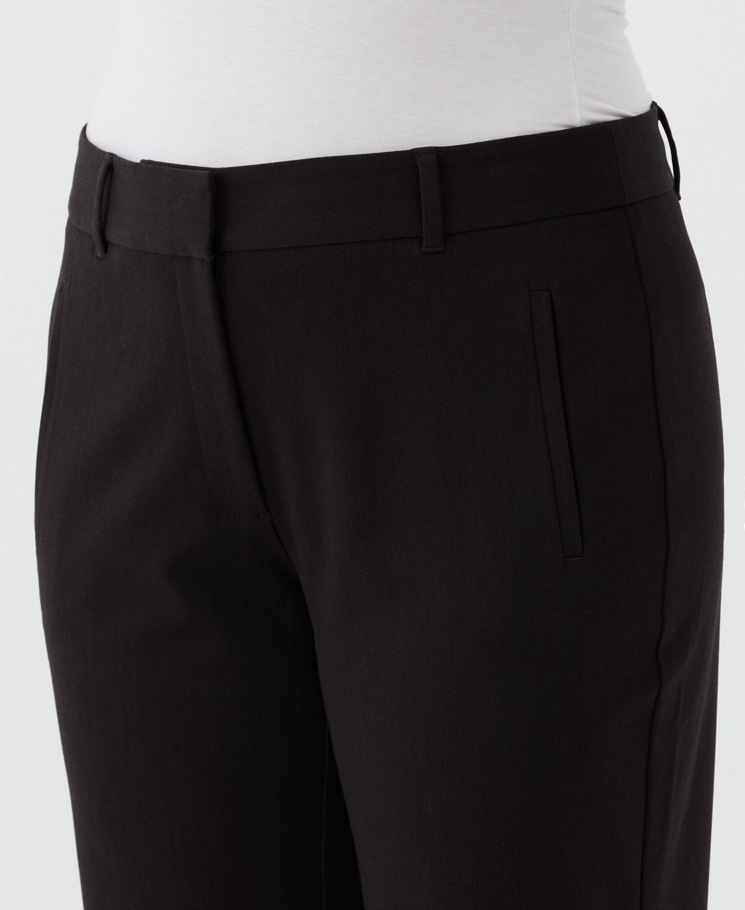 Petite Straight Leg Ankle Pants