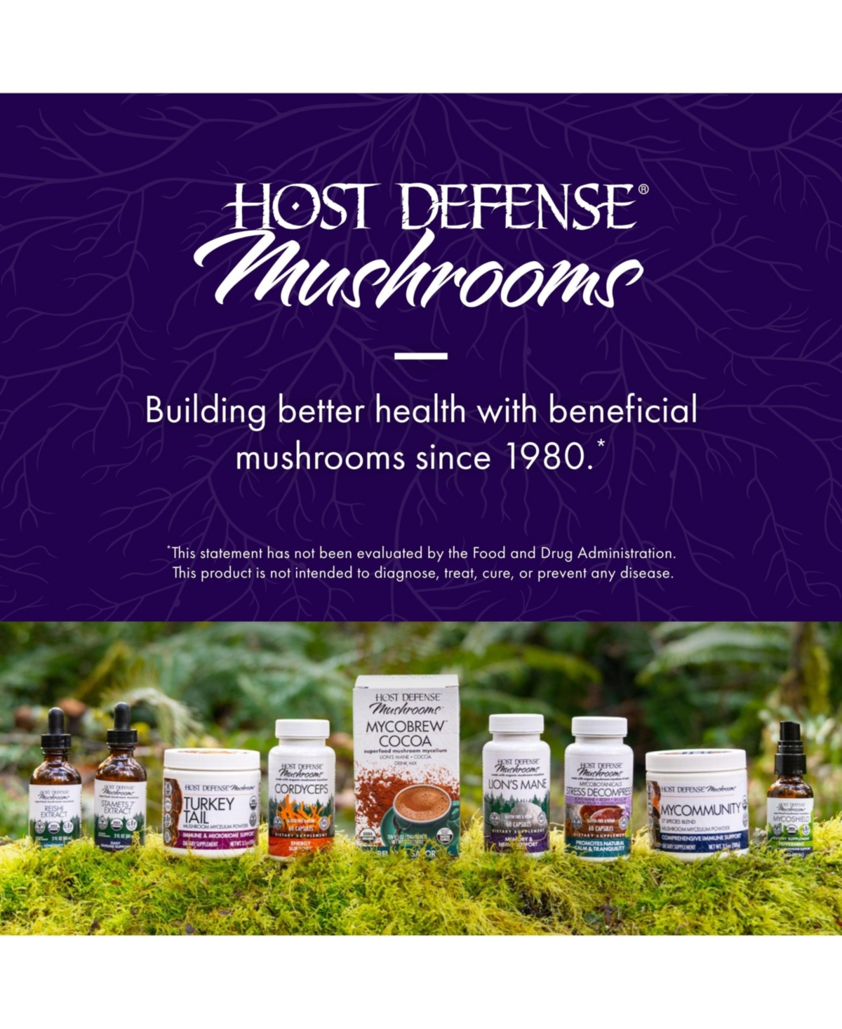 Host Defense Mushrooms Lion's Mane - Brain Health Support Supplement - Mushroom Supplement to Support Focus & Memory Function - Immune & Nervous Syste