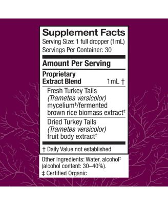 Turkey Tail Extract - Digestive Health & Immune Response Support Supplement - Mushroom Supplement for Gastrointestinal & Gut Microbiome Support