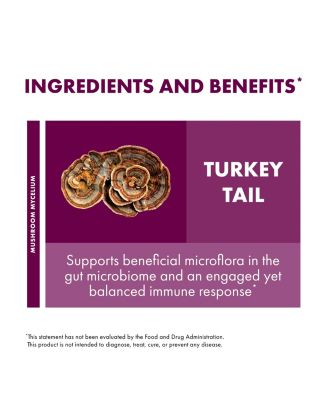 Turkey Tail Extract - Digestive Health & Immune Response Support Supplement - Mushroom Supplement for Gastrointestinal & Gut Microbiome Support