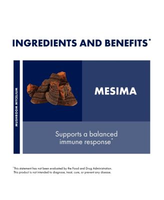 Mesima Capsules - Herbal Antioxidant Activity & Immune System Support Supplement - Mushroom Capsules Supplement to Support Balanced Immune Response - 60 Capsules (30 Servings)