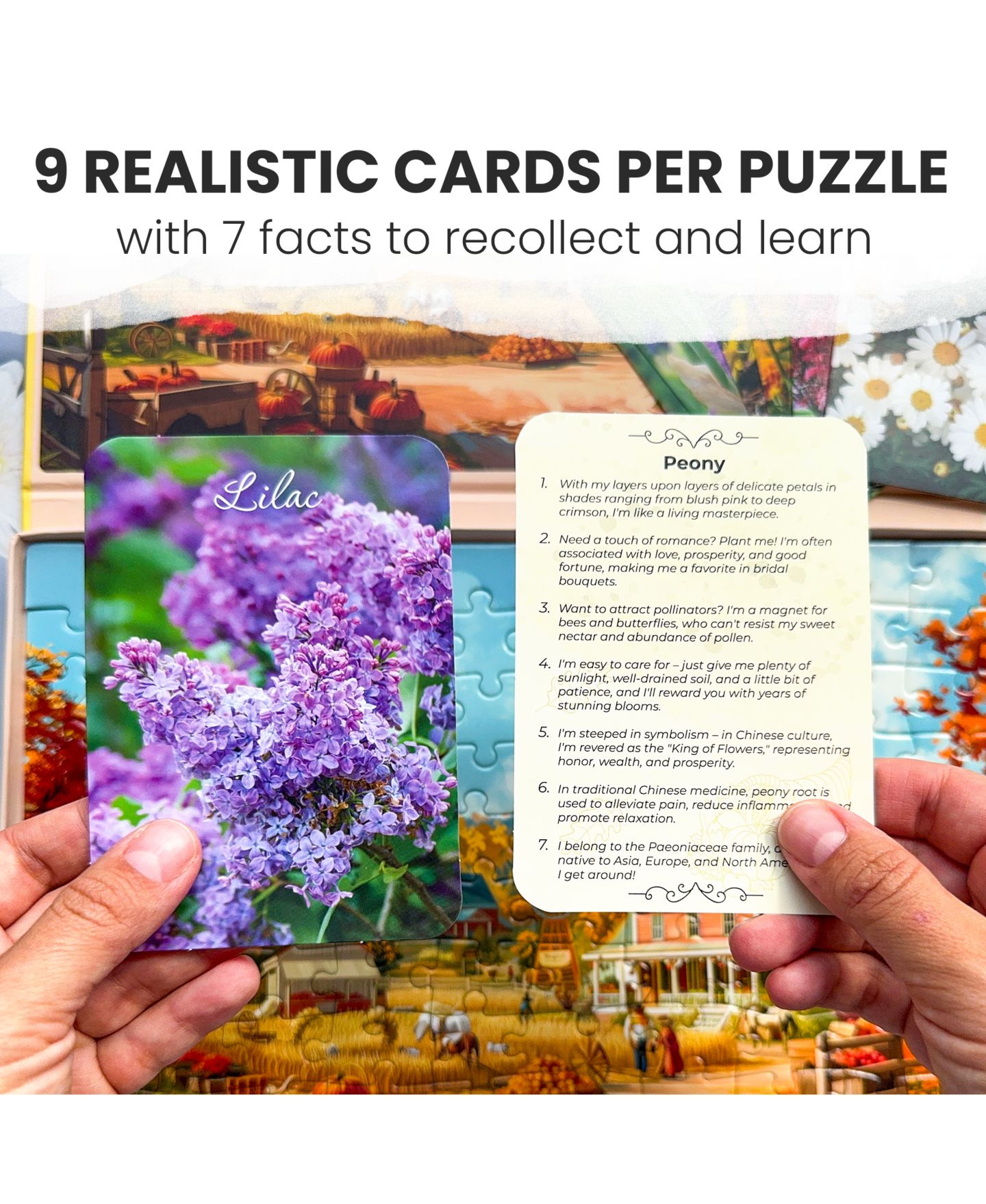 Детские игрушки Quokka Travel Memories Large-Piece 3 Jigsaw Puzzles and Memory Flashcards, 100-Piece Set, Ages 15+, цвет: Little Towns — фото 3