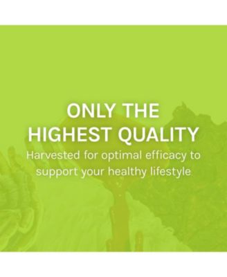 Agarikon Capsules - Immune System Support Supplement - Mushroom Supplement to Aid Immune Functions & Cell Strength - Herbal Dietary Supplement