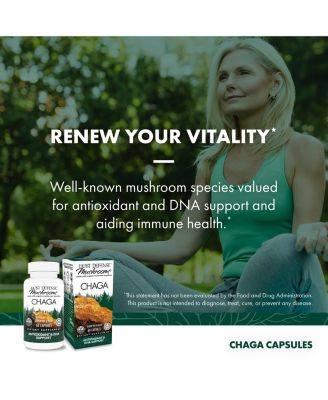 Chaga Capsules - Immune System Support Supplement - Chaga Mushroom Capsules for Antioxidant Activity Support - Dietary Mushroom Supplement