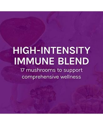 MyCommunity Capsules - 17 Species Blend Mushroom Supplement for Immune Support - Herbal Aid with Lion's Mane, Reishi. Chaga, Cordyceps, Turkey Tail & More