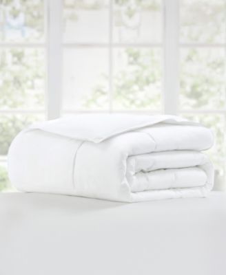 Solid Cotton 300TC Down Alternative Comforter, King/California King
