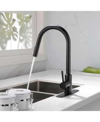 Single Handle High Arc Pull-Out Kitchen Faucet Stainless Steel Sink Faucet with Pull-Down Sprayer