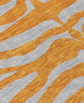 Chantille Machine Washable ACN1043 2'6"x3'10" Area Rug