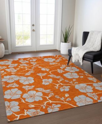 Chantille Machine Washable ACN1034 3'x5' Area Rug