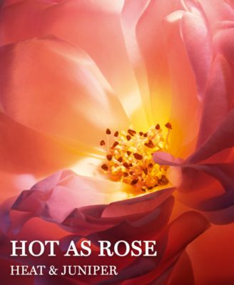 Absolue Hot As Rose Eau de Parfum, 3.4 oz.