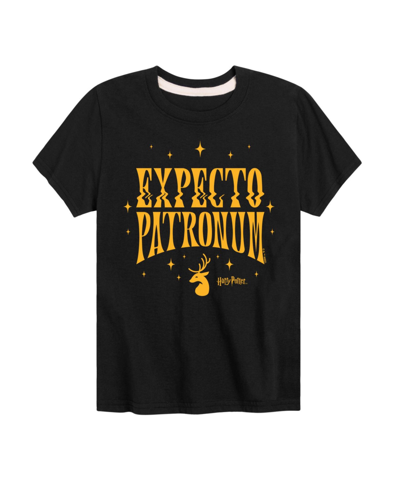 Big Boys Harry Potter Expecto Patronum Graphic Tee