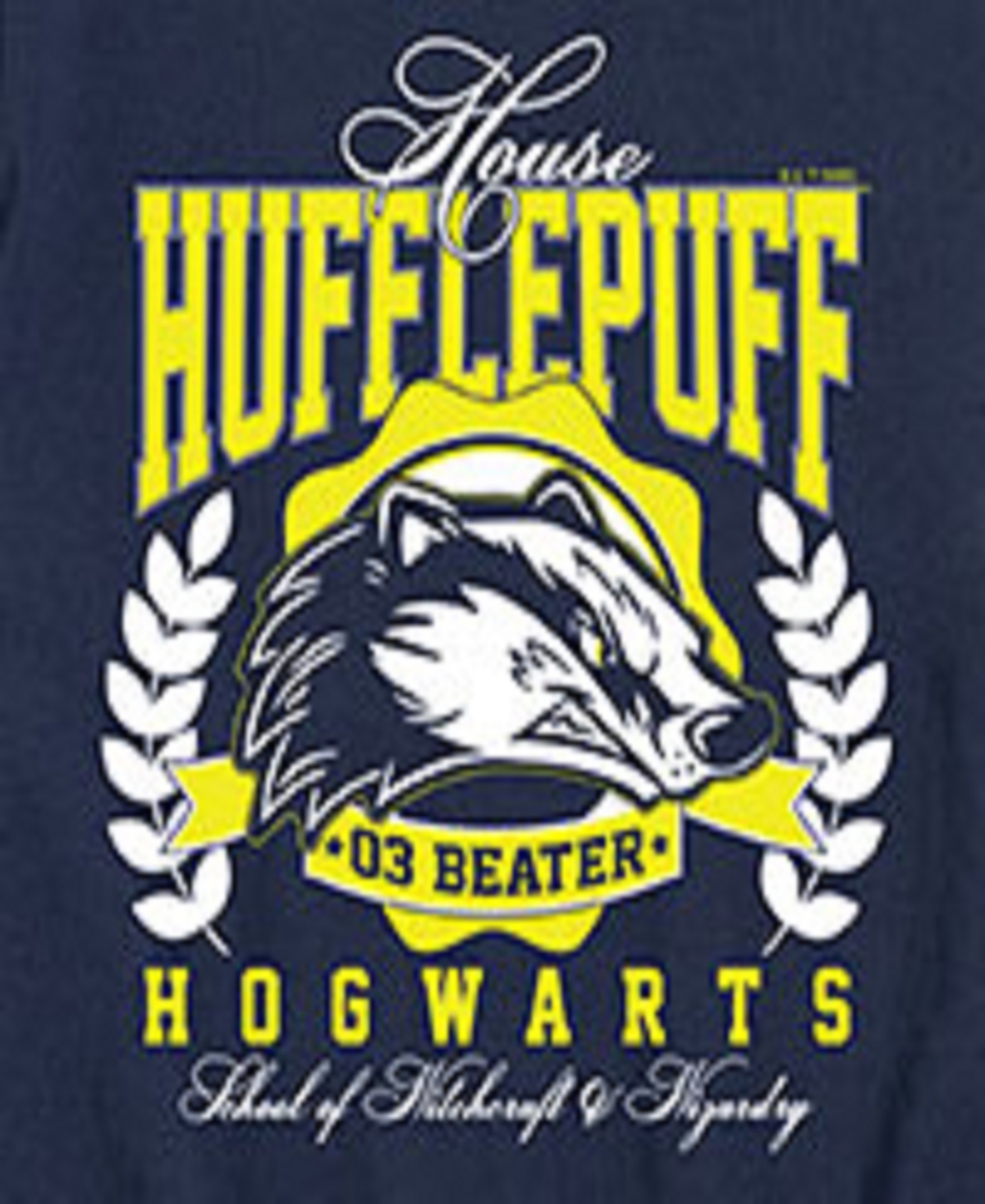 Hybrid Big Boys Harry Potter Hufflepuff Graphic Tee In Blue