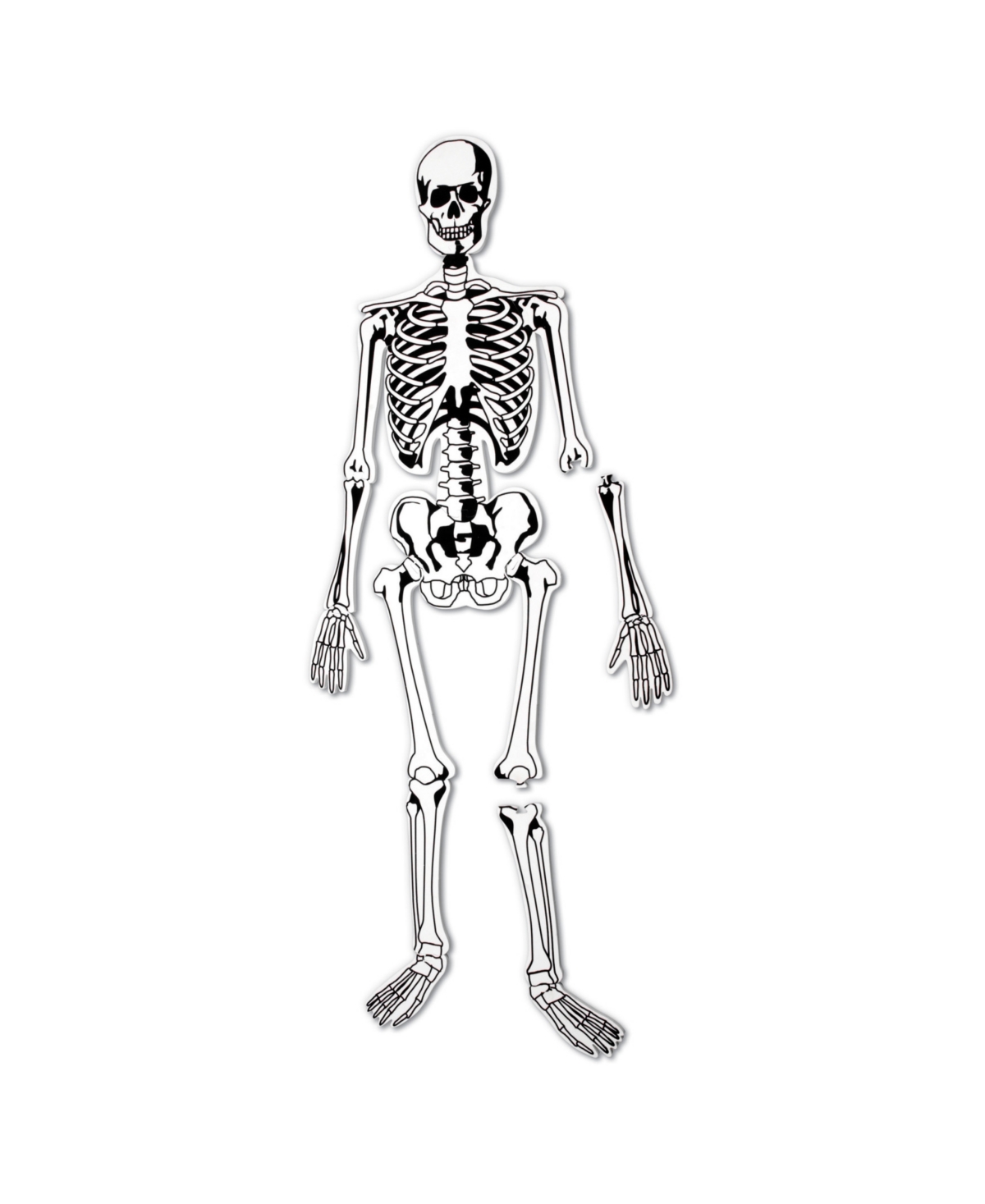 Learning Resources Skeleton Floor Puzzle 15 Pieces In Multi