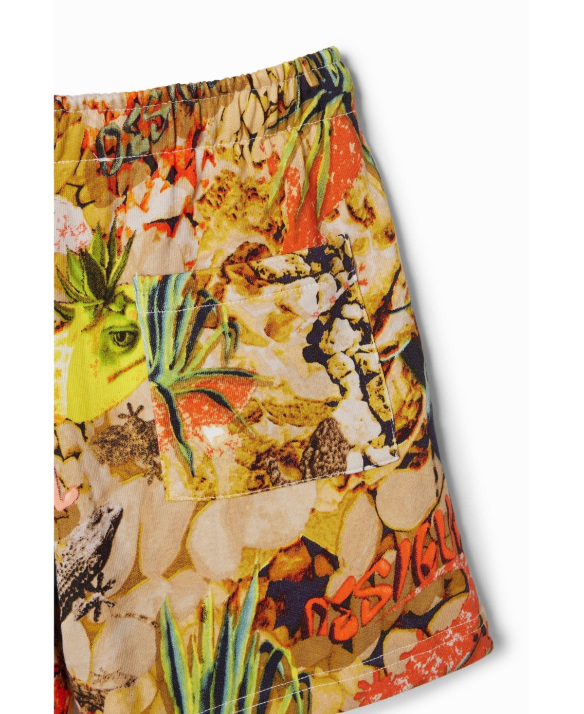 Desigual Boys Boys's Tie-dye Bermuda jogger shorts