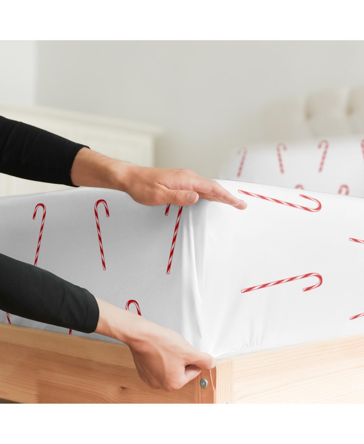 Cgk Unlimited Christmas 4 Piece Microfiber Sheet Set (Twin / - Candy cane