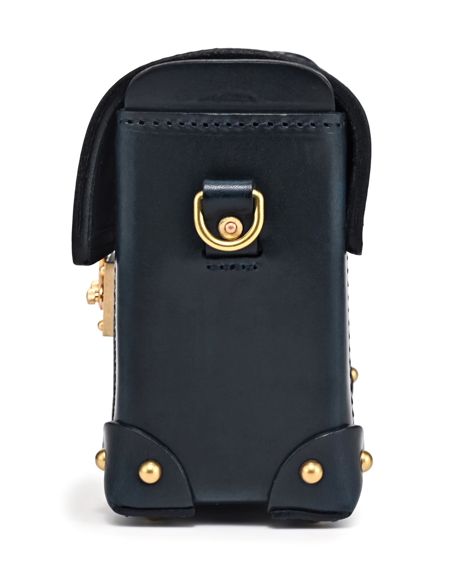 Azalea Vintage Case Crossbody Bag