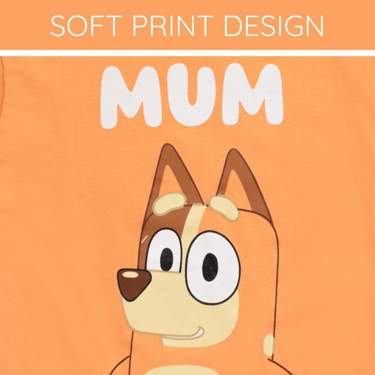 Bluey Girls Adult Matching Family T-Shirt (X-Small - 2XL) - orange