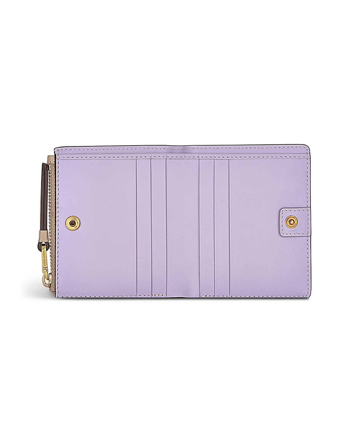Radley London Sea Swimming Small Bifold Wallet In Tower Bridge