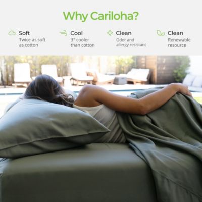 Classic 2-Piece Twill Pillowcase Set | Tahitian Breeze | Standard | Viscose Material | Allergy Resistant, Thermal-Regulating & Extra soft