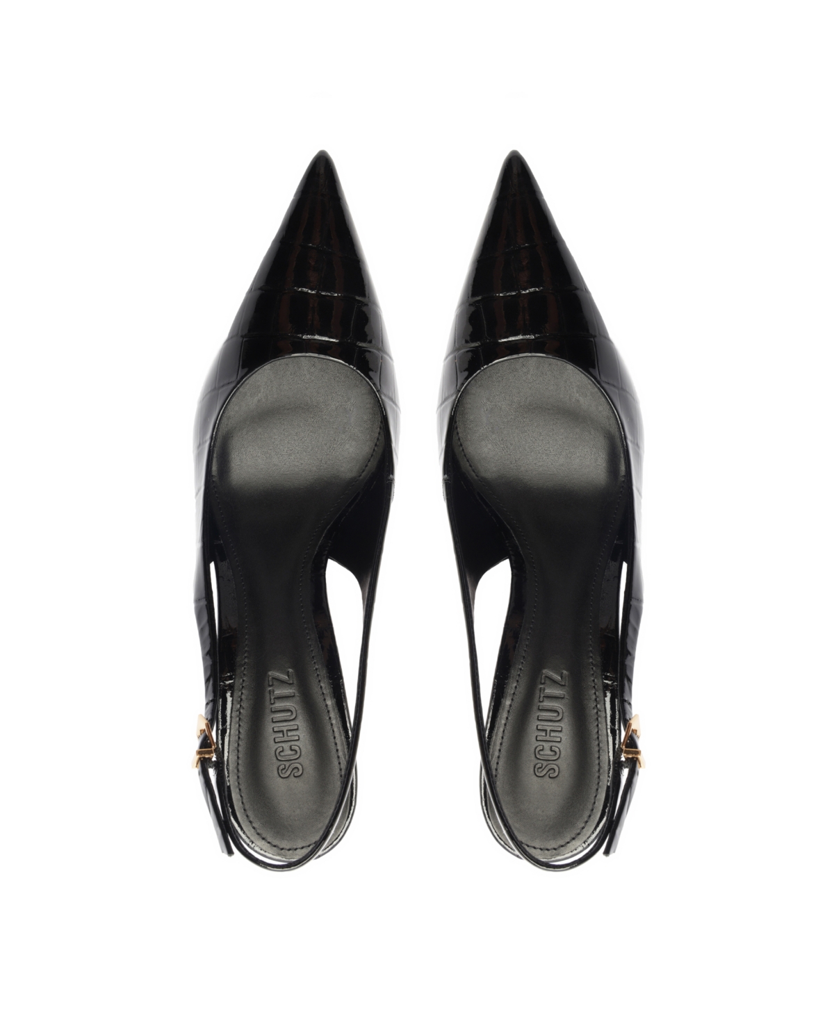 Shop Schutz Women's Paola Pointed Toe Pumps In Black