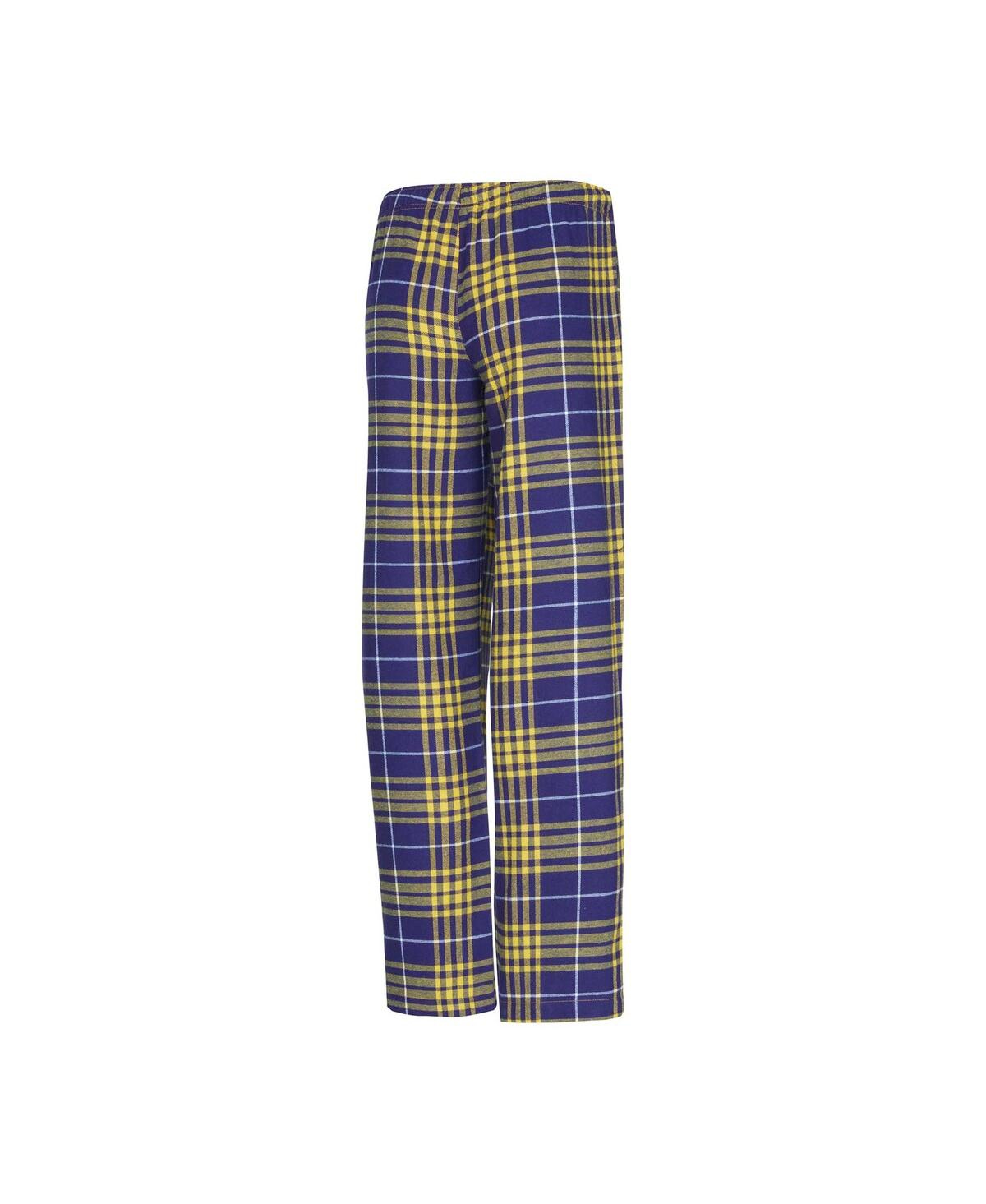 Concepts Sport Women's Minnesota Vikings Vector T-shirt Flannel Pants Sleep Set In Purple,gold