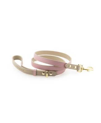Dog Leash 4 ft