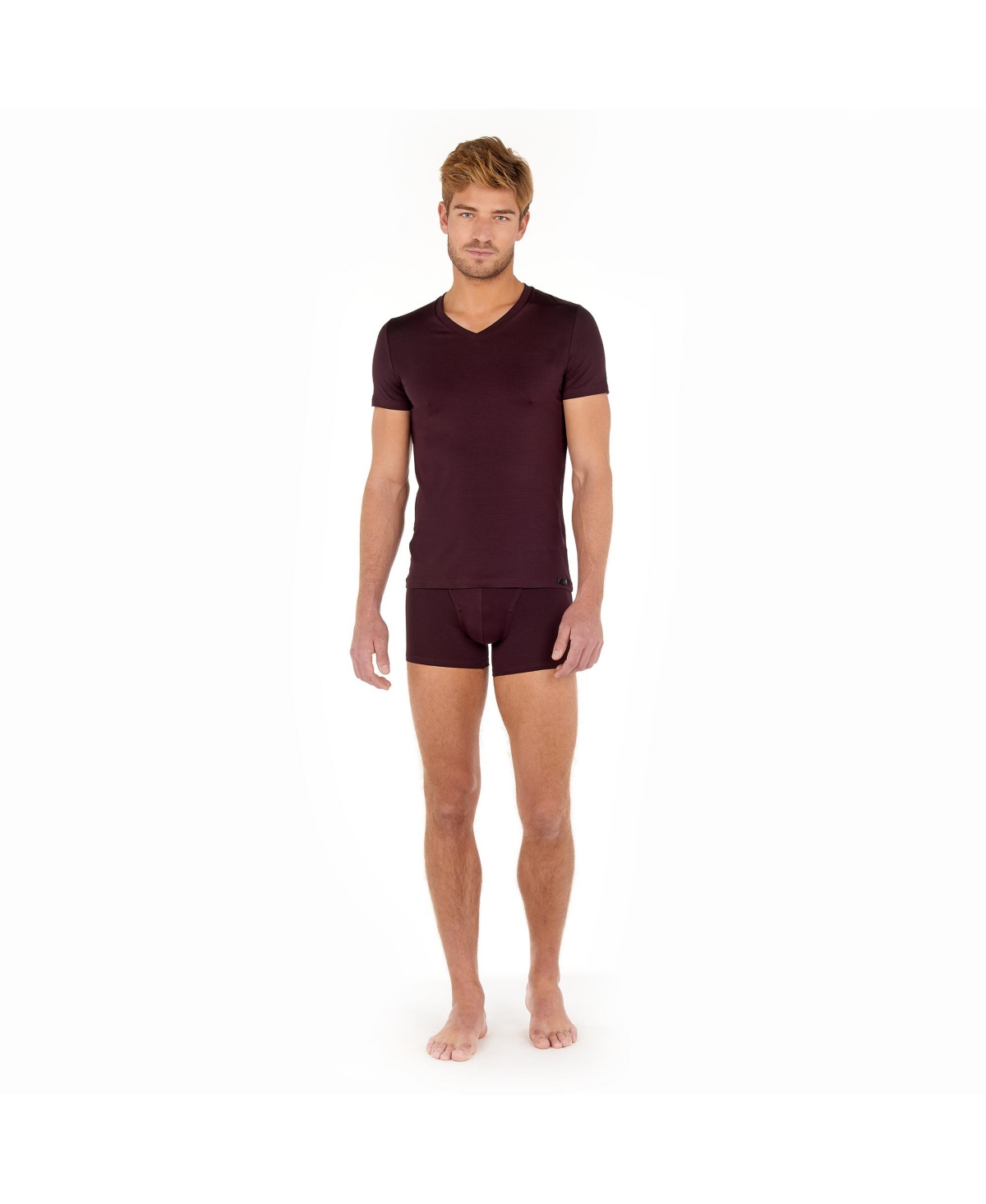 Hom Usa Men's V-Neck T-Shirt
