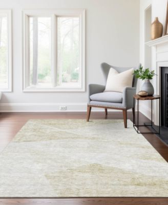 Chantille Machine Washable ACN770 5'x7'6'' Area Rug