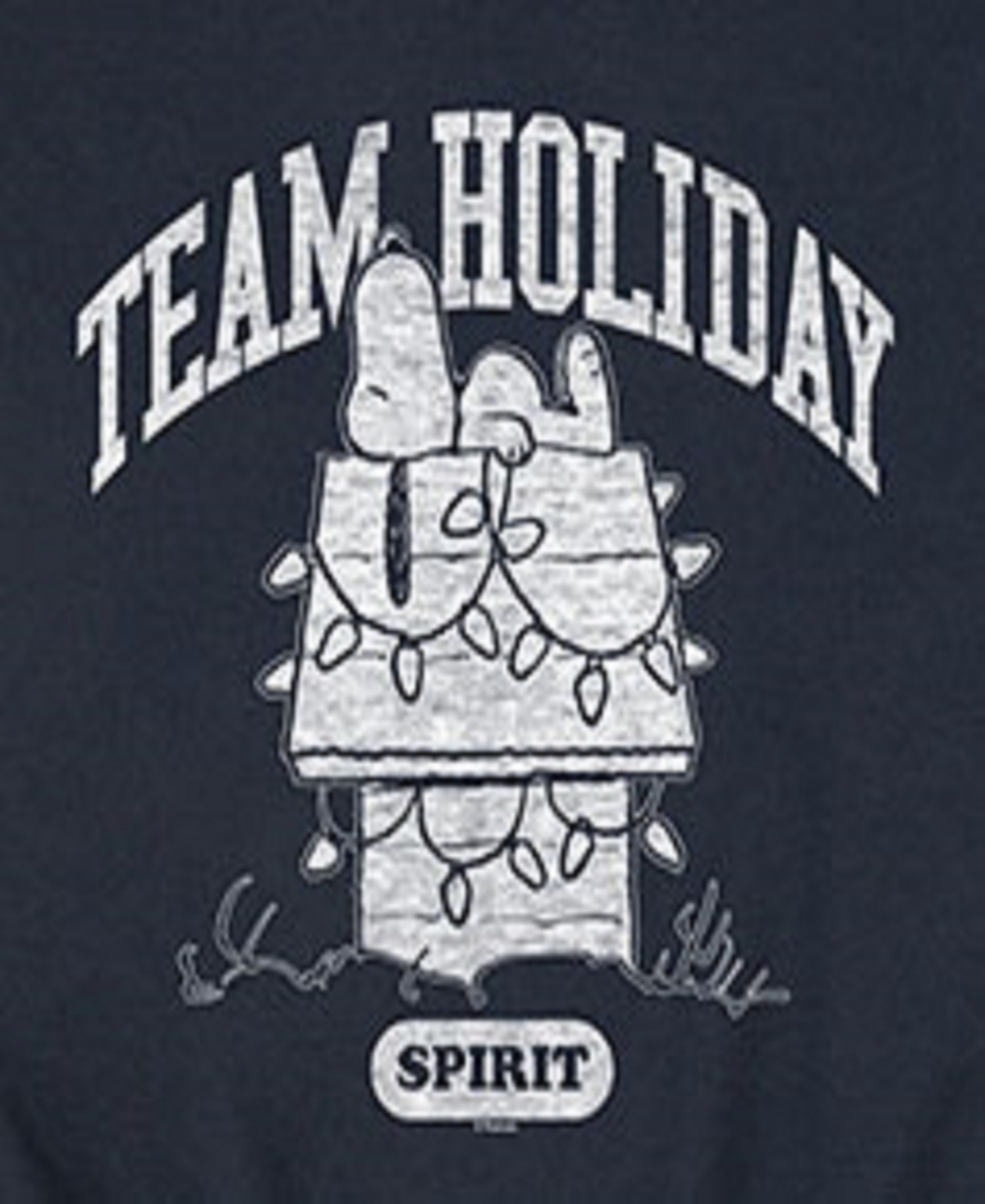 Airwaves Men's Peanuts Team Holiday Long Sleeve Fleece In Blue