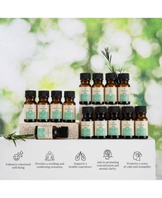 Seasonal Scents Christmas Essential Oils Collection