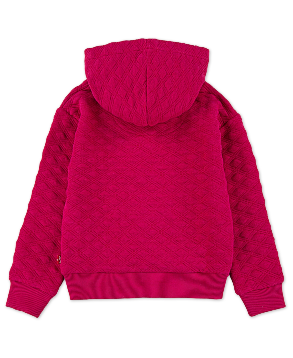Levi's Little Girls Meet and Greet Hoodie Sweatshirt