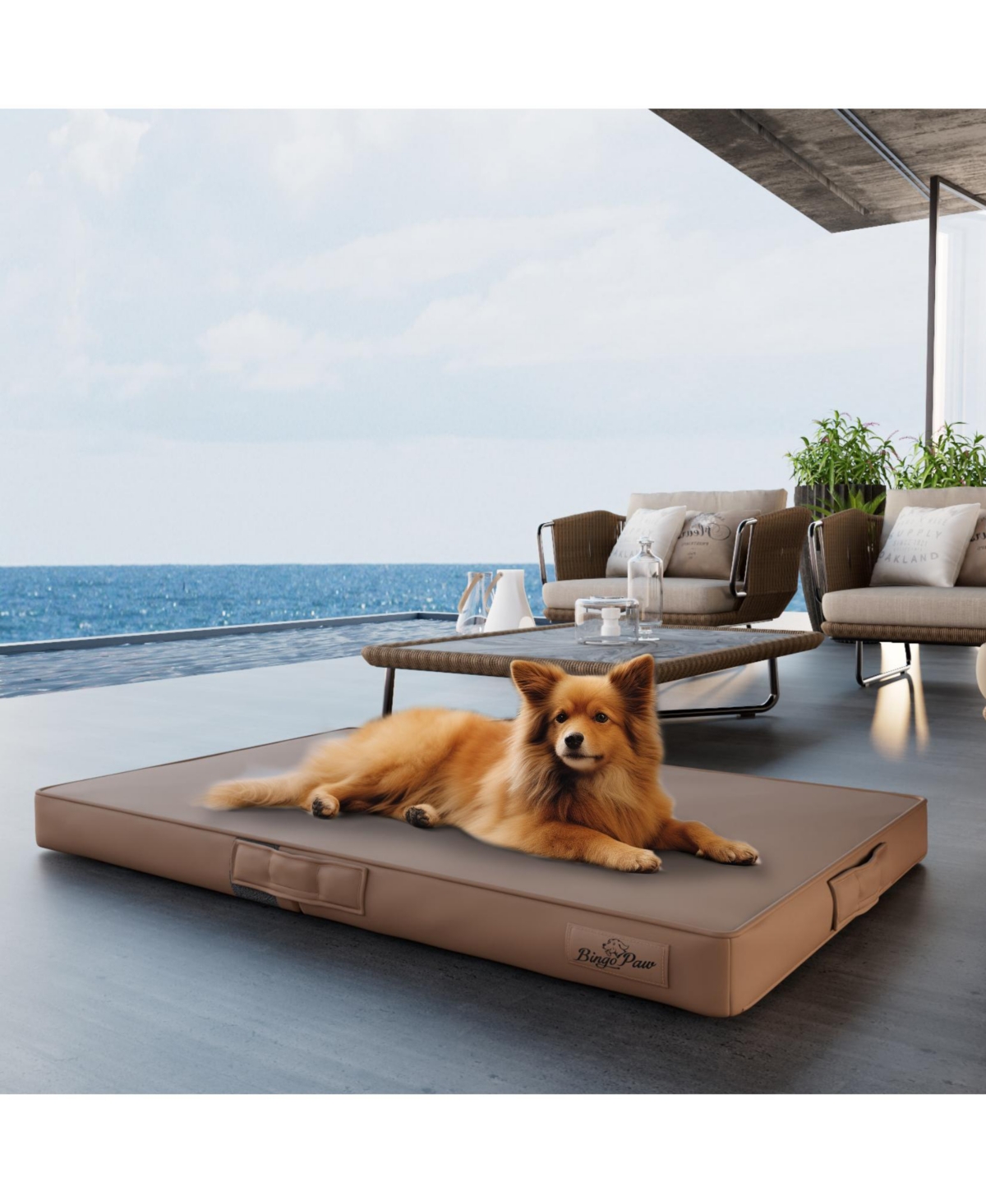Bingopaw Shape Microfiber Silicone Leather Washable Pet Dog Bed Foldable Large Sleeping Pad Mat