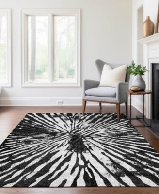 Chantille Machine Washable ACN818 2'6"x3'10" Area Rug