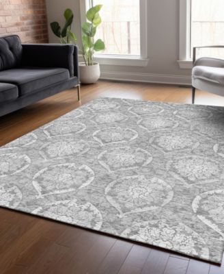 Chantille Machine Washable ACN810 2'6"x3'10" Area Rug