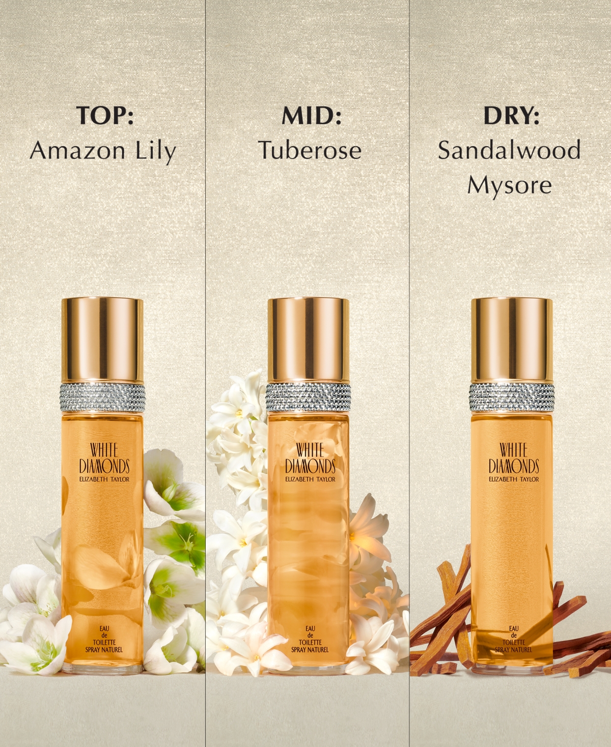 Elizabeth Taylor 5-pc. White Diamonds Mother's Day Fragrance Gift Set In No Color