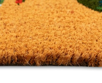 Natura No Crabs Allowed 2'x3' Area Rug