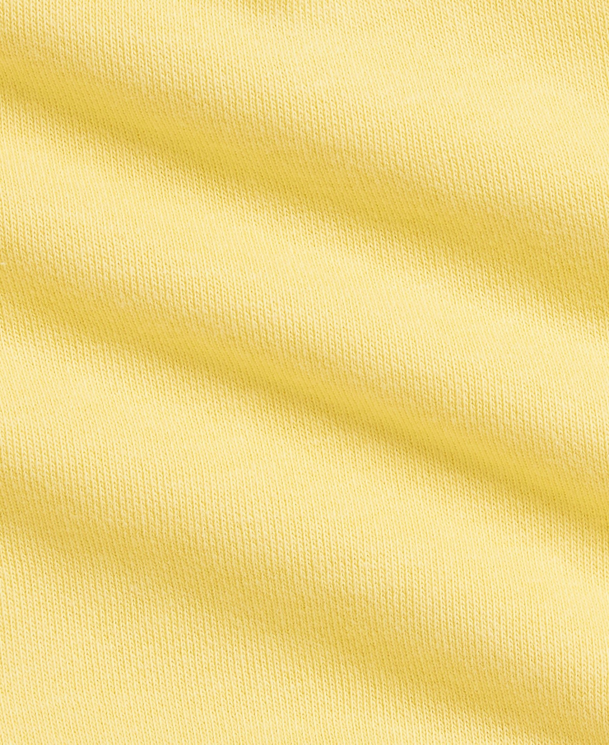 Polo Ralph Lauren Ralph Lauren Embroidered French Terry Sweatshirt & Joggers Set In Yellow