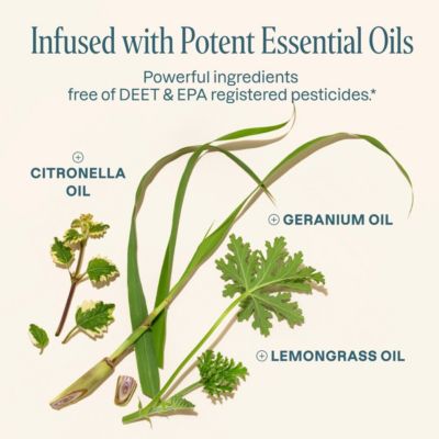 Mosquito Repellent Bracelets - Elastic - 1 Pack | 10 Count