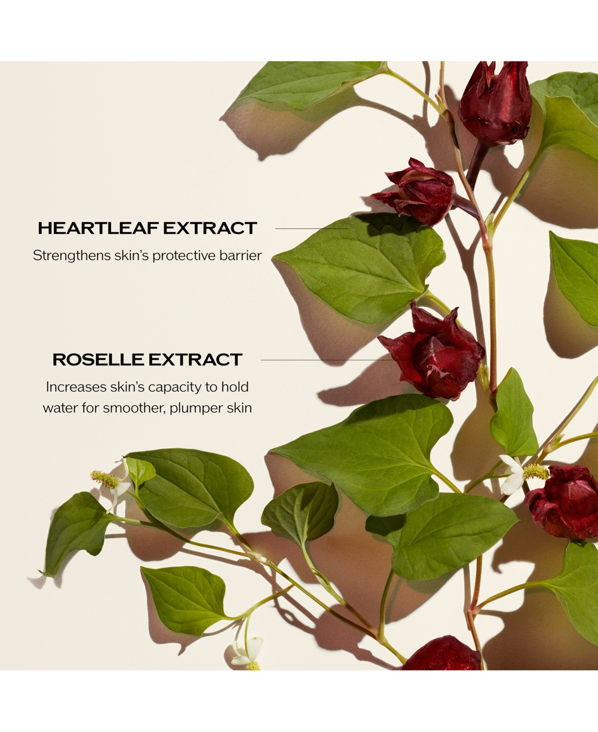Shiseido 4-pc. Radiance & Resilience Ritual Skincare Set In No Color