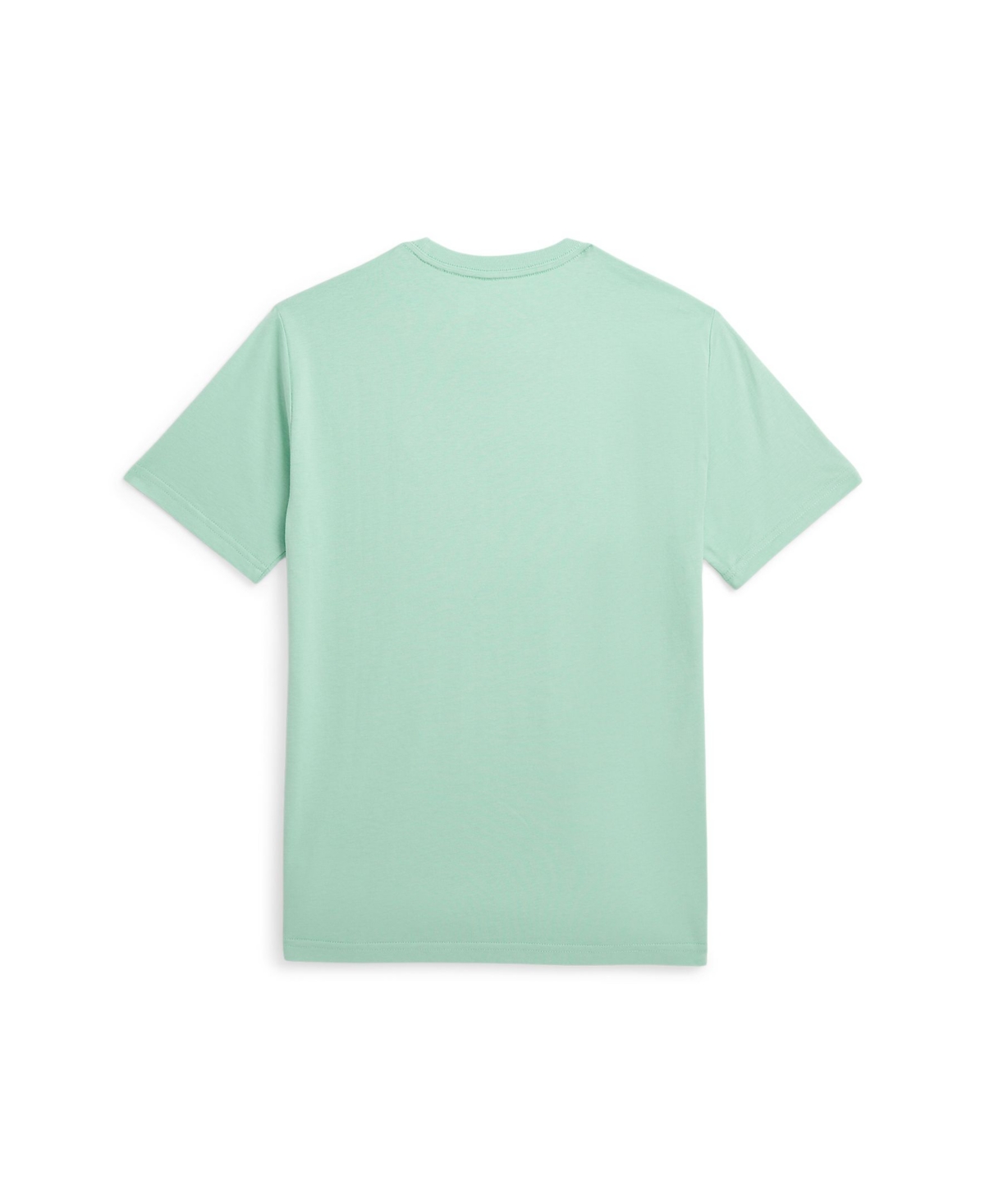 Polo Ralph Lauren Big Boys Cotton Jersey Crewneck T-shirt