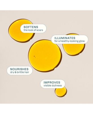 Organic Rosehip Oil - 16 oz