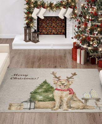 Wonderland Washable WN8 3'x5' Area Rug